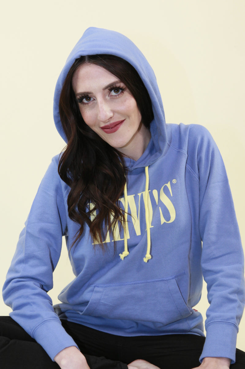 Levi's Graphic Sport Hoodie