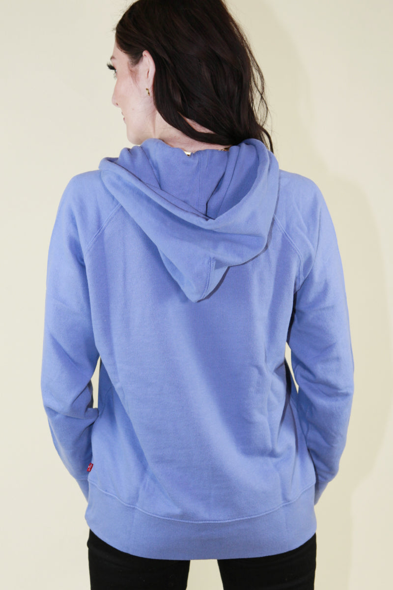 Levi's Graphic Sport Hoodie
